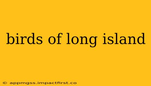 birds of long island