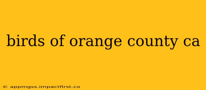 birds of orange county ca