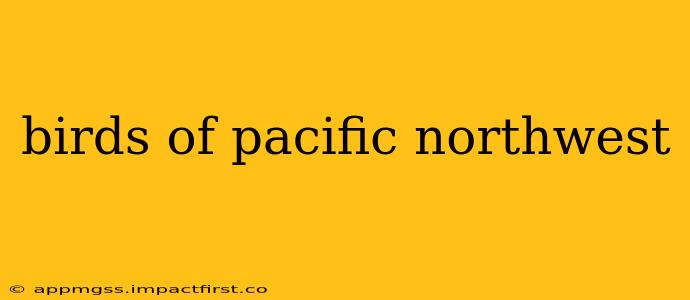 birds of pacific northwest
