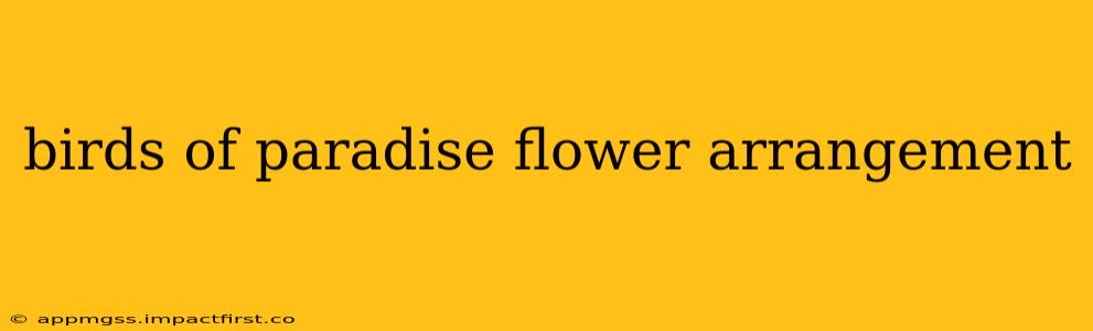 birds of paradise flower arrangement