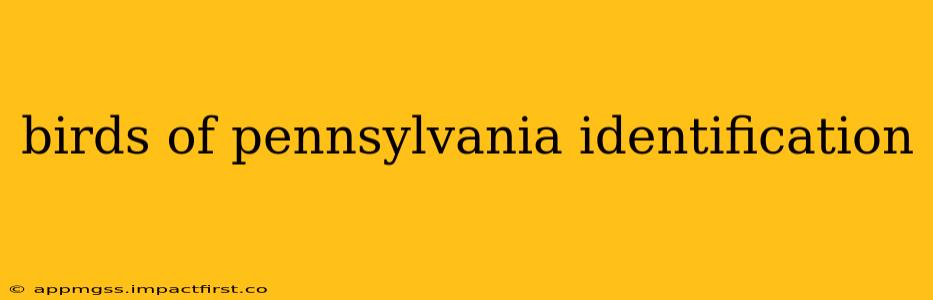 birds of pennsylvania identification
