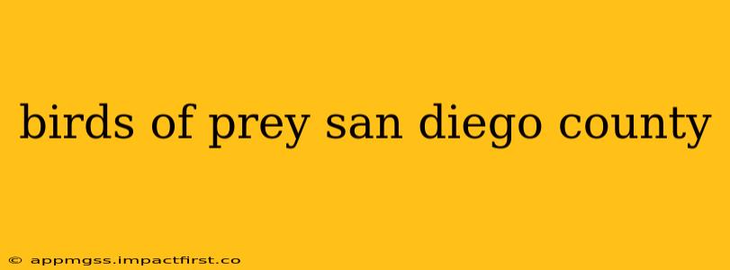 birds of prey san diego county