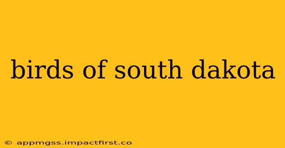 birds of south dakota