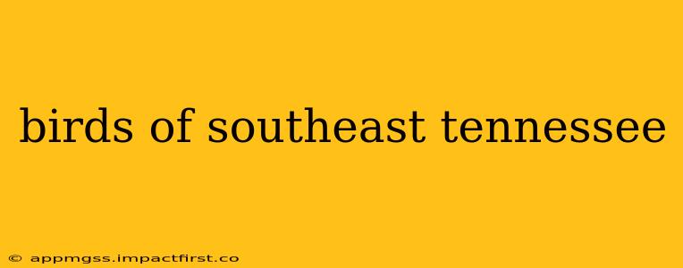 birds of southeast tennessee