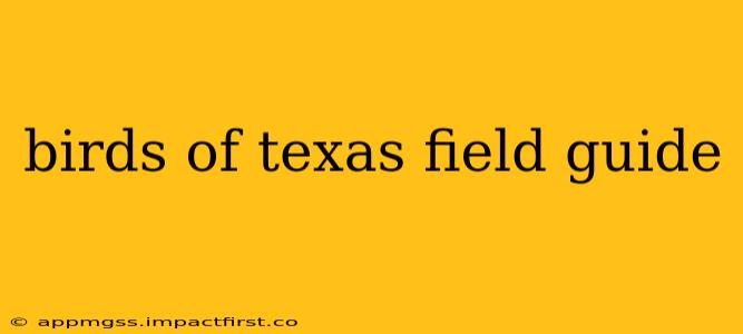 birds of texas field guide