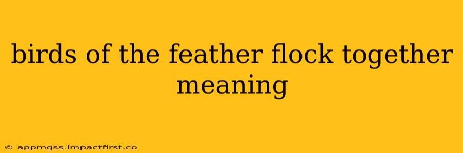 birds of the feather flock together meaning