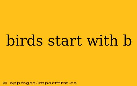 birds start with b