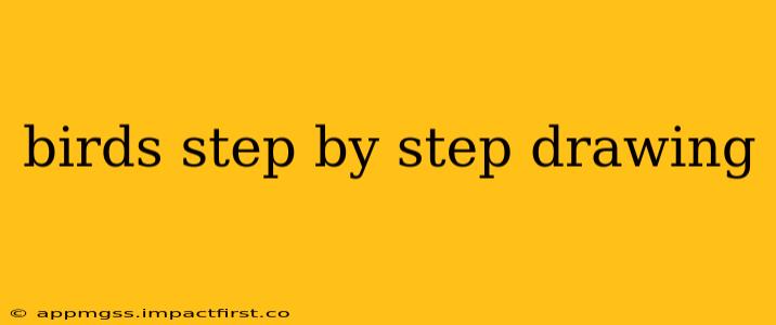 birds step by step drawing