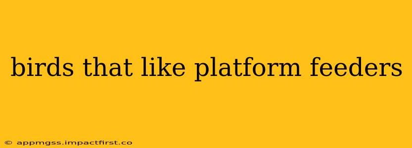 birds that like platform feeders