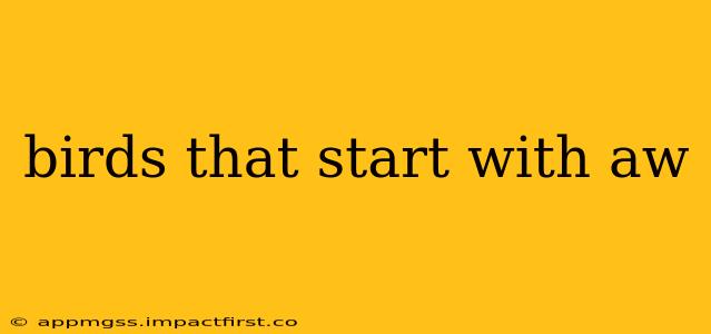 birds that start with aw