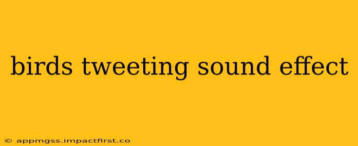 birds tweeting sound effect