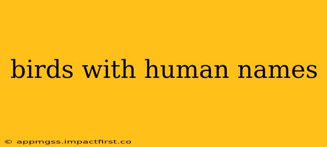 birds with human names
