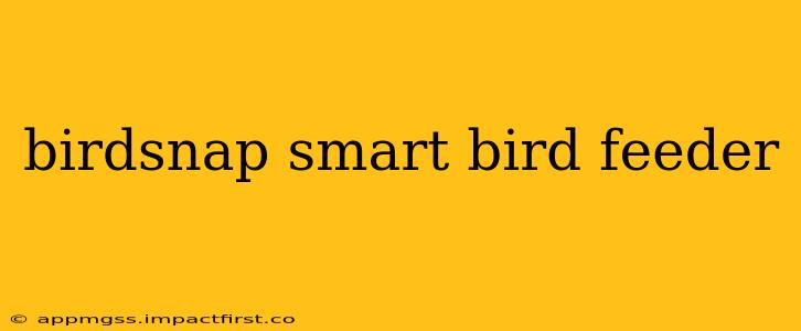 birdsnap smart bird feeder