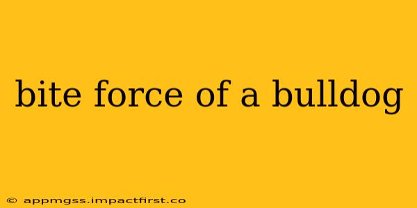 bite force of a bulldog