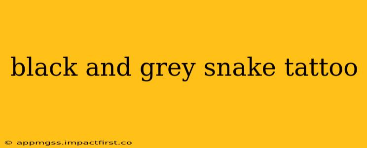 black and grey snake tattoo