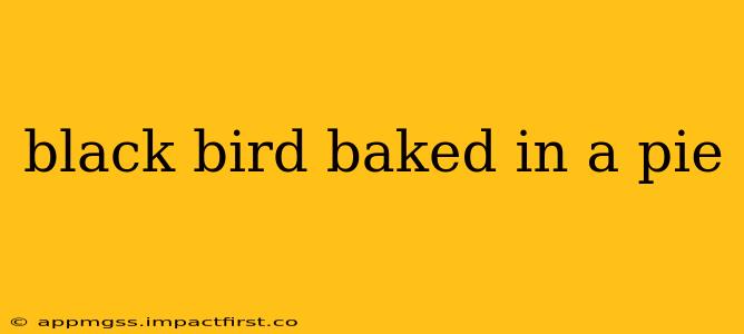 black bird baked in a pie