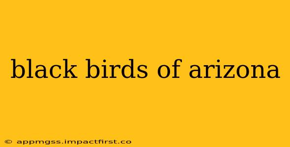 black birds of arizona