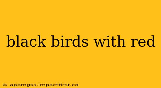 black birds with red