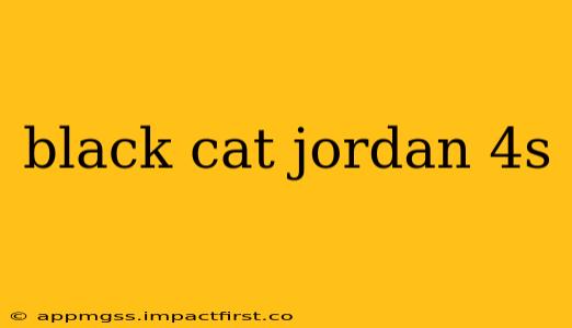 black cat jordan 4s