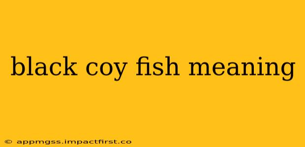 black coy fish meaning