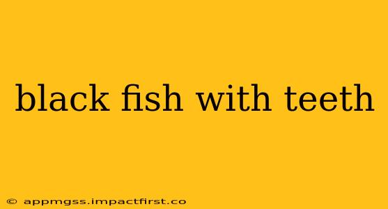 black fish with teeth