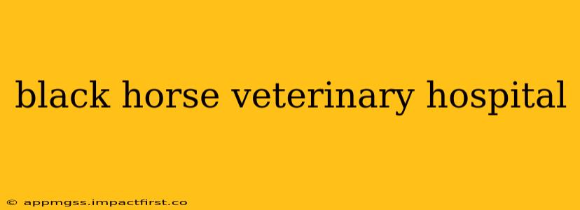 black horse veterinary hospital