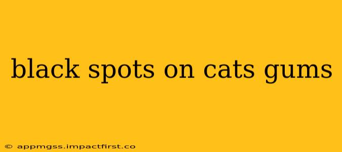 black spots on cats gums