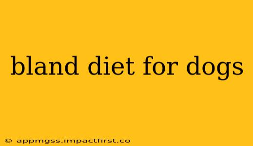 bland diet for dogs