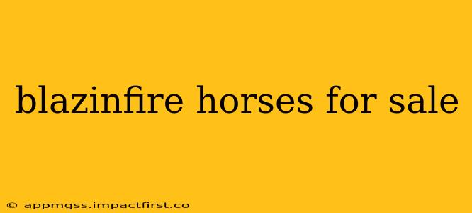 blazinfire horses for sale