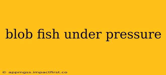 blob fish under pressure