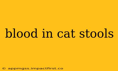 blood in cat stools