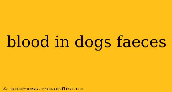 blood in dogs faeces