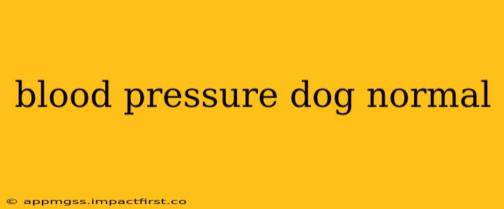 blood pressure dog normal
