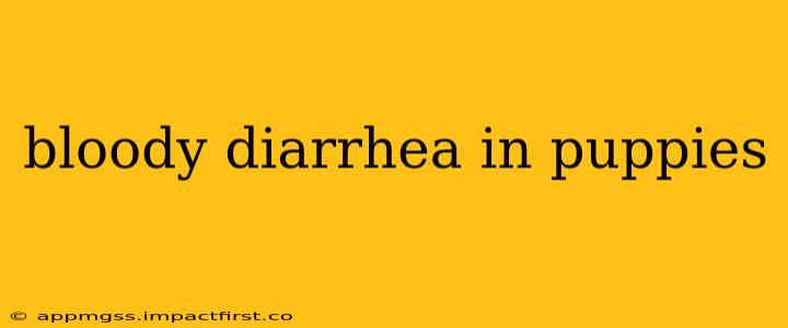 bloody diarrhea in puppies