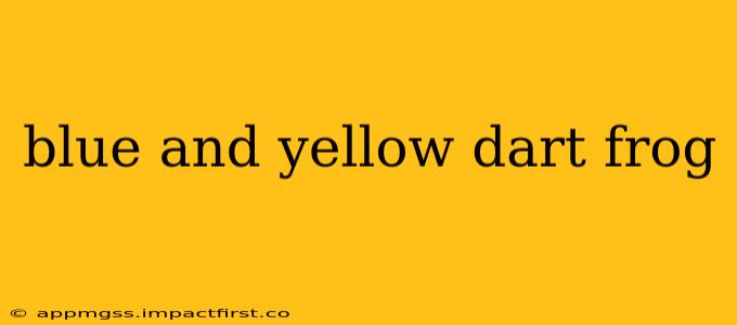 blue and yellow dart frog