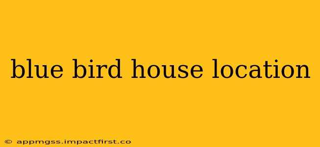 blue bird house location