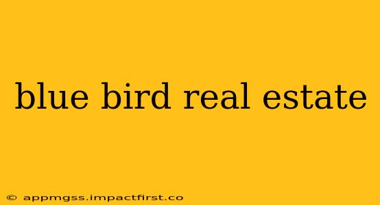 blue bird real estate