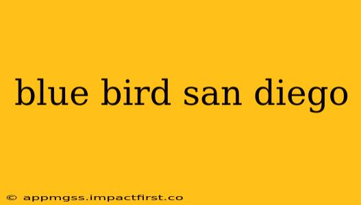 blue bird san diego