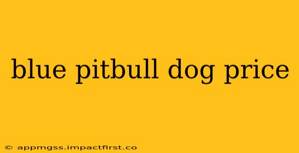 blue pitbull dog price