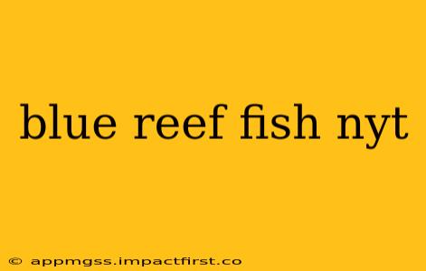 blue reef fish nyt