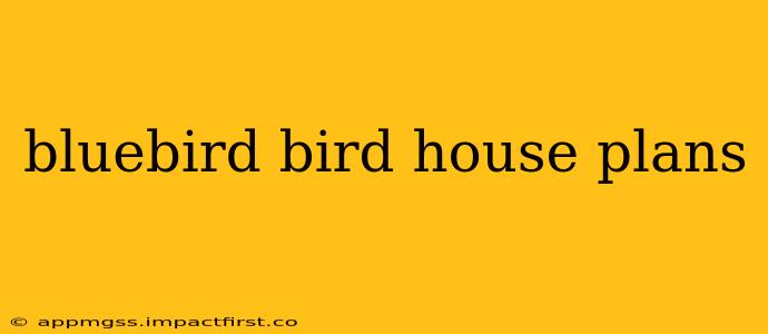 bluebird bird house plans