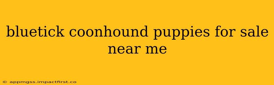 bluetick coonhound puppies for sale near me