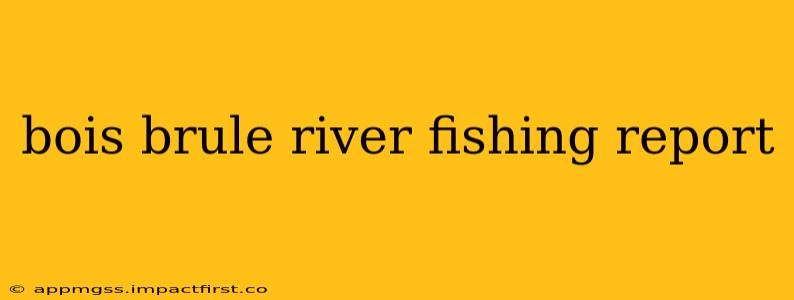 bois brule river fishing report