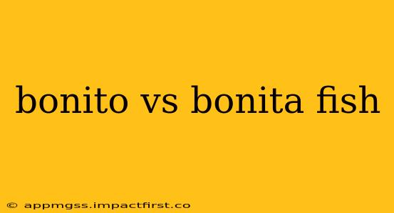 bonito vs bonita fish
