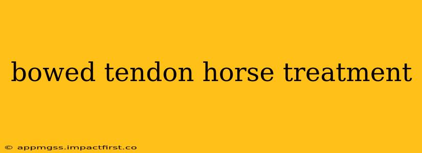 bowed tendon horse treatment