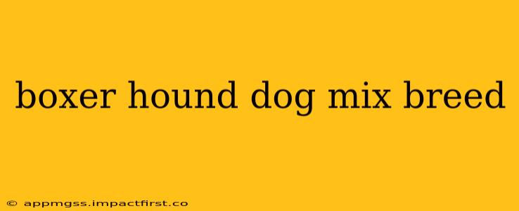 boxer hound dog mix breed
