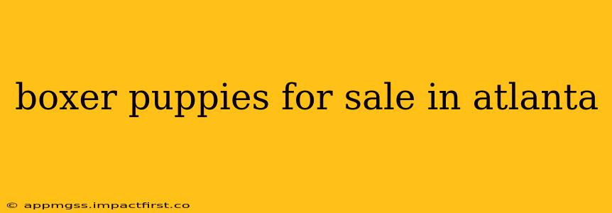 boxer puppies for sale in atlanta