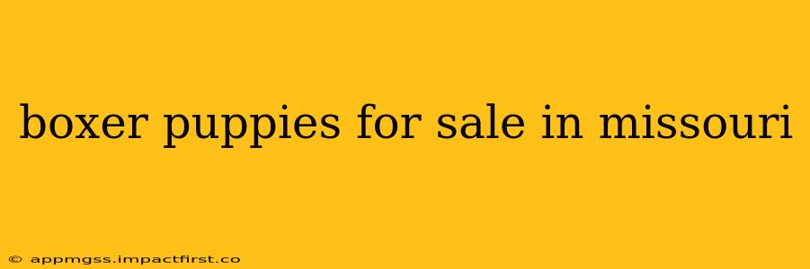boxer puppies for sale in missouri
