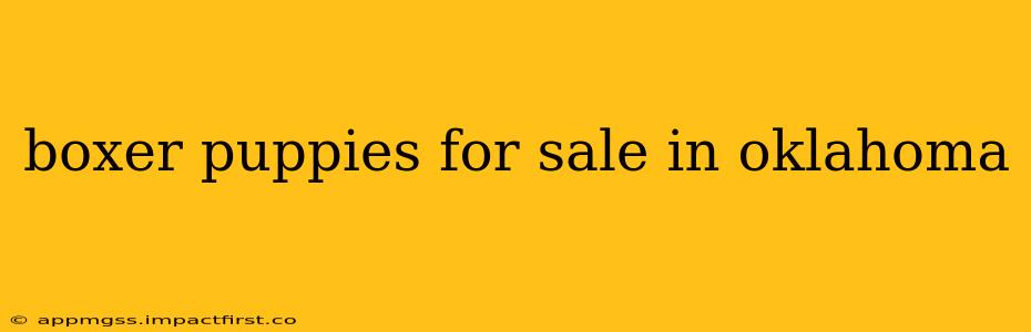 boxer puppies for sale in oklahoma