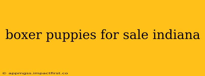 boxer puppies for sale indiana
